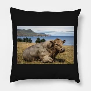 Paddock with View Pillow