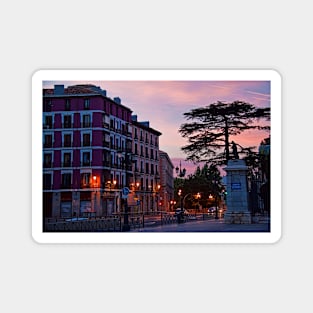 Spain. Madrid in Pink. Magnet