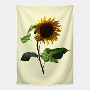 Sunflower Looking Down Tapestry