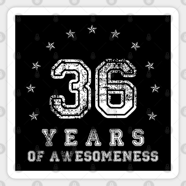 Vintage 1983 Made In 1983 36th Birthday 36 Years Old Gift T-Shirt Vintage 1983 Made In 1983 36th Birthday 36 Years Old Gift T-Shirt