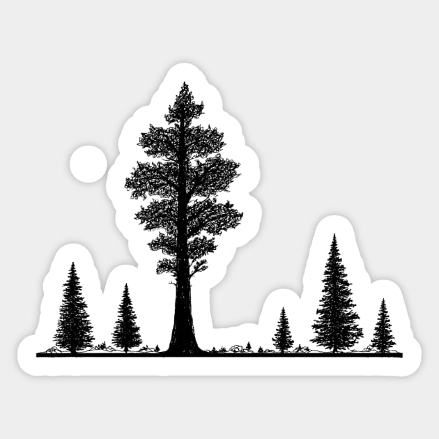 Black Pine Tree Sticker