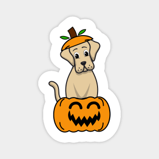 Funny Big Dog is in a pumpkin Magnet