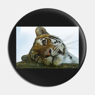 Tiger Portrait Pin