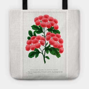 Flowering Thorn Lithograph (1900) Tote