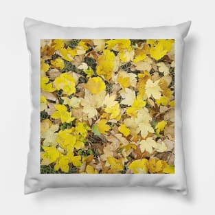 Yellow Maple Tree Leaves Pillow