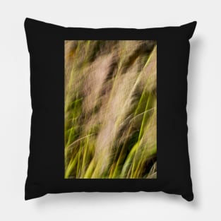 Pampas Grass Abstract Blur Pillow