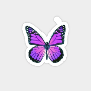 Ultraviolet Butterfly Magnet