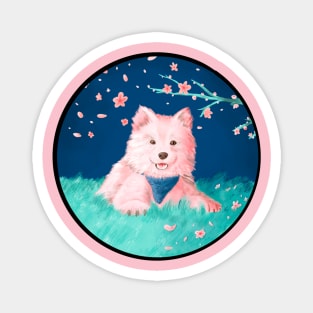 Samoyed Puppy sitting under cherry blossoms Magnet