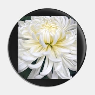 The DeLight of the White Blooming Dahlia Pin