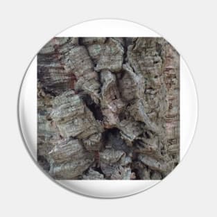 Cork Oak Tree Bark Texture 5 Pin