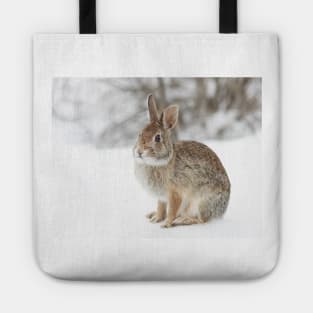 Eastern Cottontail bunny Tote