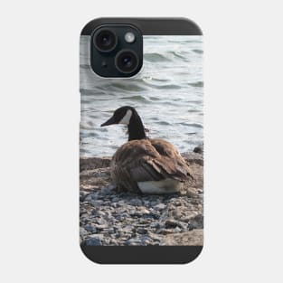 Canada Goose Resting On The Beach Phone Case