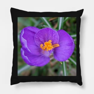 Purple and Orange Flower 2 Pillow