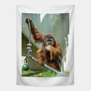 Orangutan Tapestry