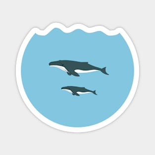 Whales Magnet