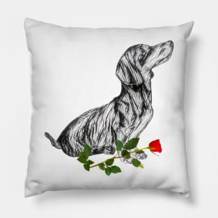 Valentines Dachshund With Rose Pillow