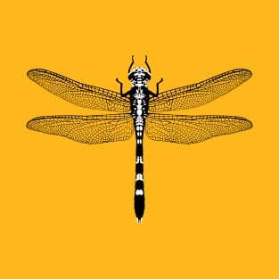 Graphic of a dragonfly T-Shirt