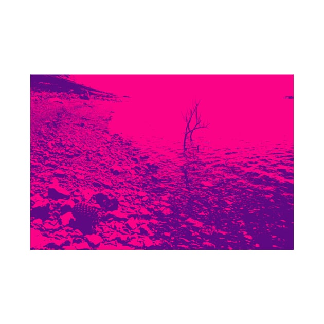 stony lake edge with pine cone and stick in water pink gradient water by brians101