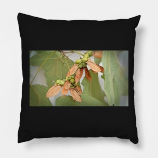 Winging Sugar Maple Seeds Pillow