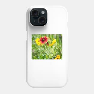 Colorful Spring Wildflowers Indian Blanket and Coreopsis Phone Case