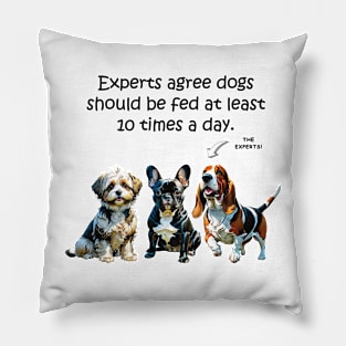 Experts agree dogs should be fed at least 10 times a day - funny watercolour doggie designs Pillow