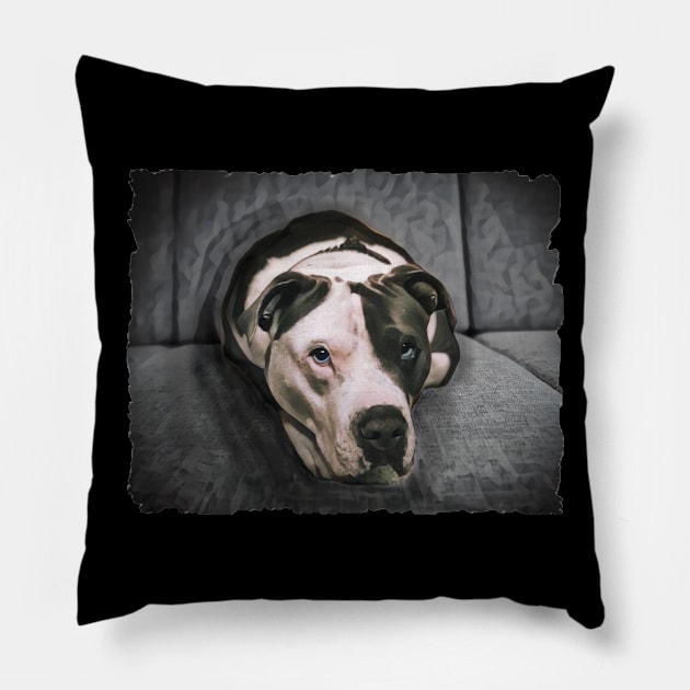 Loveable Pit Bull With Blue Eyes Pillow by PhotoArts