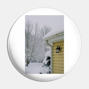 January Snow Pin