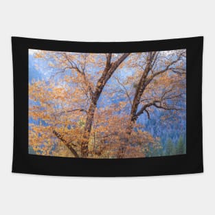 Black Oaks Fall Tapestry