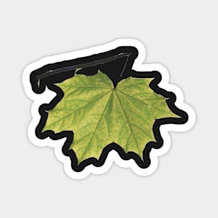 Leaf and branch Magnet