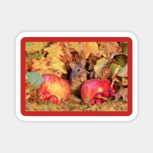 wild Autumn house mouse Magnet