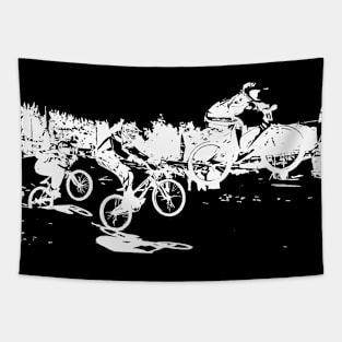 bmx Tapestry