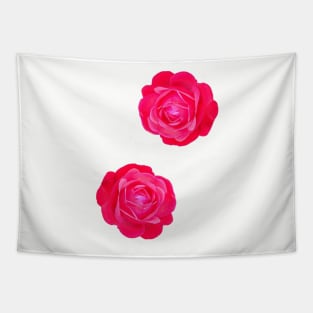 Two pink roses Tapestry