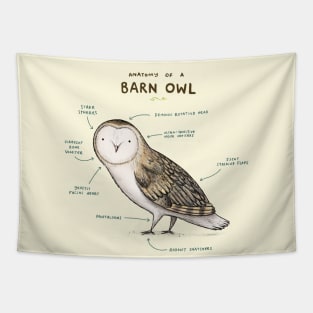Anatomy of a Barn Owl Tapestry