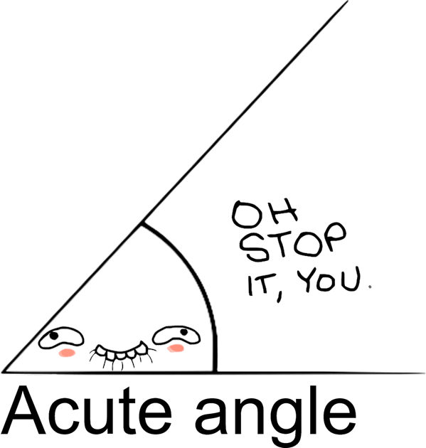 Acute Angle Kids T-Shirt by albertot