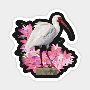 Ibis Magnet