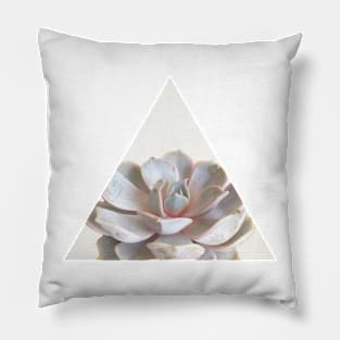 Pink Succulent Pillow