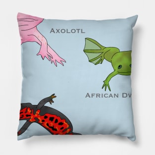 Amphibians Pillow