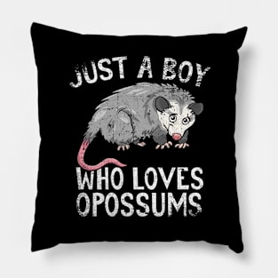 Just A Boy Who Loves Opossums Pillow