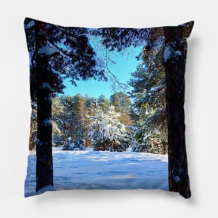 Scenery at the Sormovsky Park in Nizhny Novgorod with pine trees, spruces, and snow Pillow