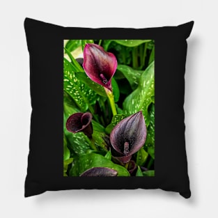 Trio of Dark Purple Calla Lillies Pillow