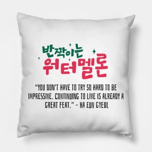 Twinkling Watermelon Korean Drama Quote Pillow