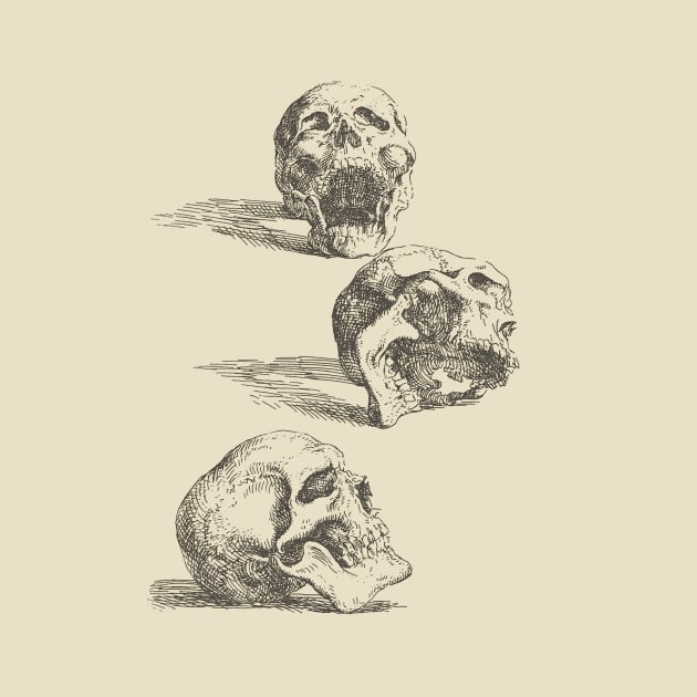 Salvator Rosa - Three Human Skulls by JohnnyBoyOutfitters