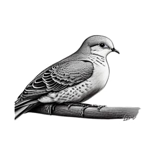 Pencil Sketch Drawing Of  A Dove. T-Shirt