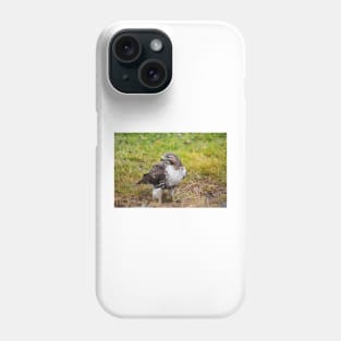 Watchful Red Tailed Hawk Phone Case