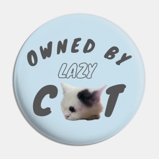 owned by lazy cat Pin