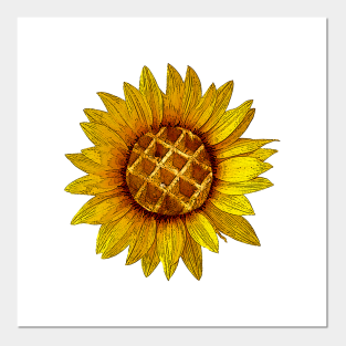 Girasol Posters and Art Prints for Sale | TeePublic