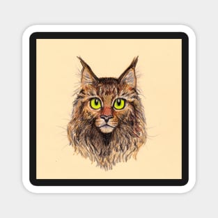 Maine Coon Magnet