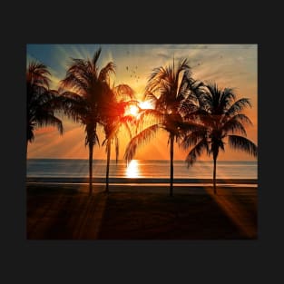 Silhouette Of Trees during Golden Hour T-Shirt