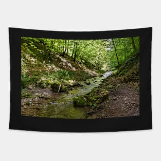 Mountain river flowing through valley Tapestry