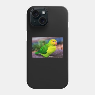 Lorikeet Portrait Phone Case